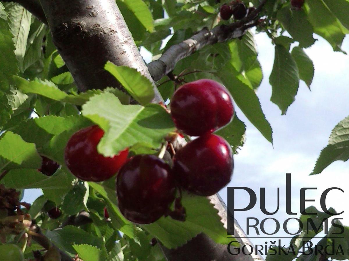 דוברובו Apartma Sobe Pulec מראה חיצוני תמונה