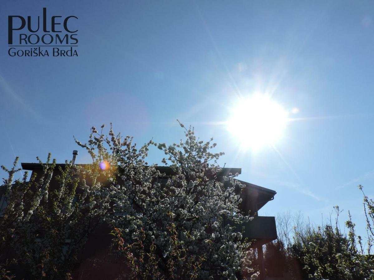 דוברובו Apartma Sobe Pulec מראה חיצוני תמונה
